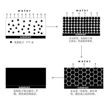 雏鸟APP水漆